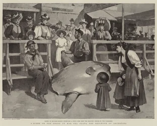 A Scene on the Shore at Mar del Plata, the Brighton of Argentina
